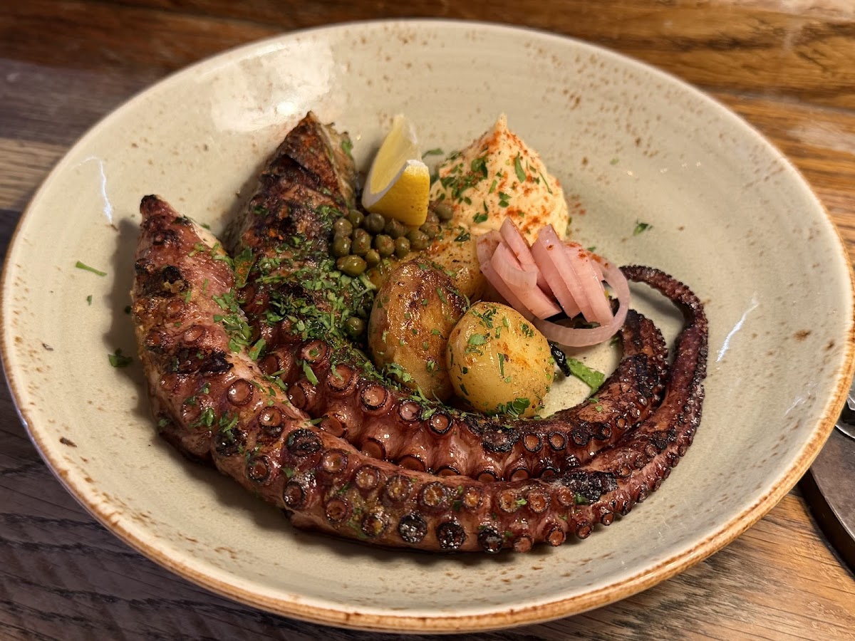 El Gato Negro Tapas Manchester — Restaurant